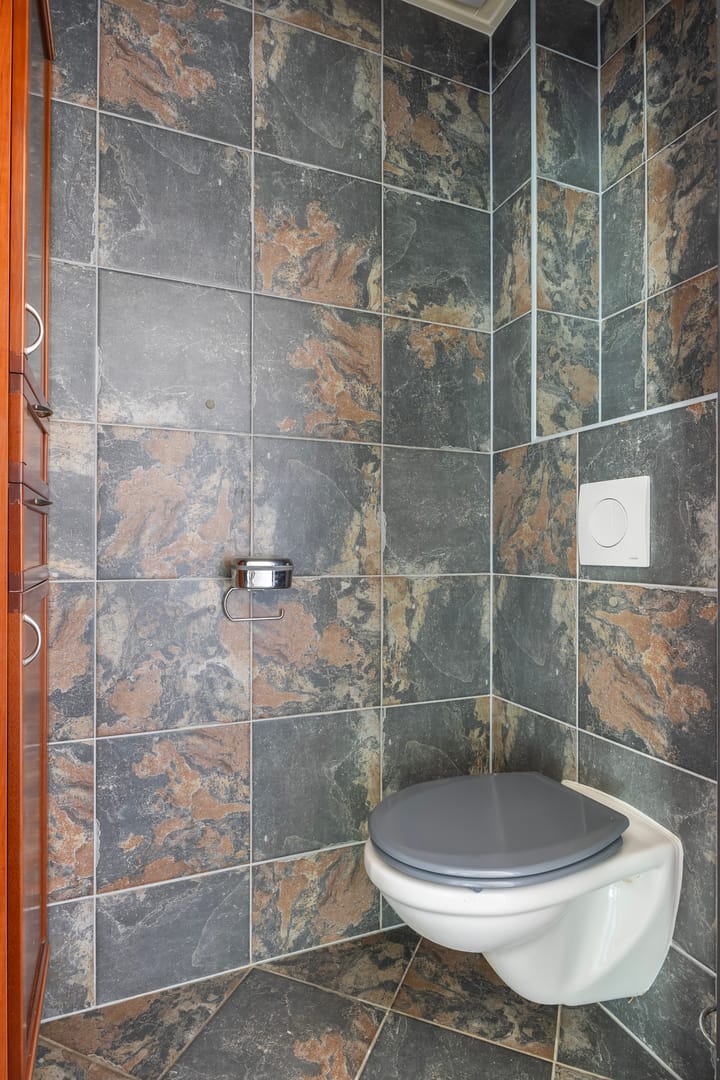 Photo 12 of Fazant 2