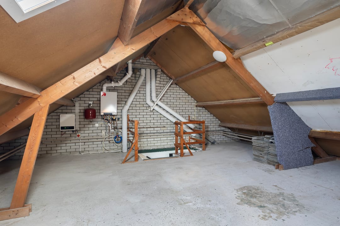 Foto 32 van Fazant 2