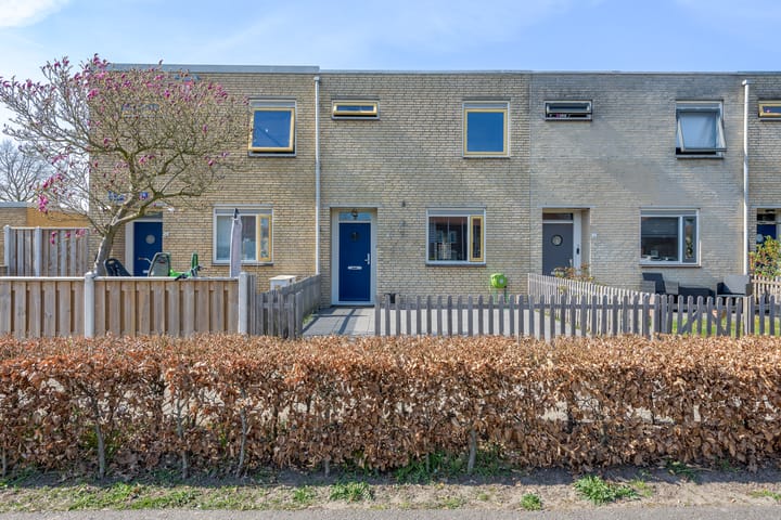 Foto 4 van Sikkelklaverpad 5