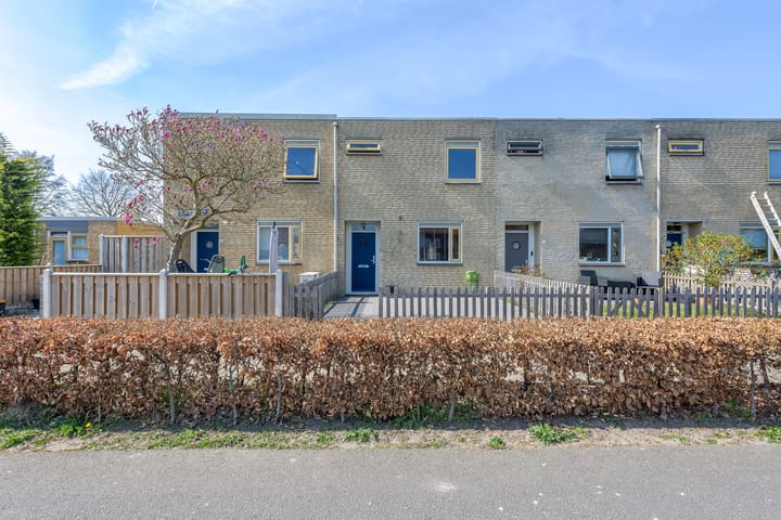 Foto 5 van Sikkelklaverpad 5