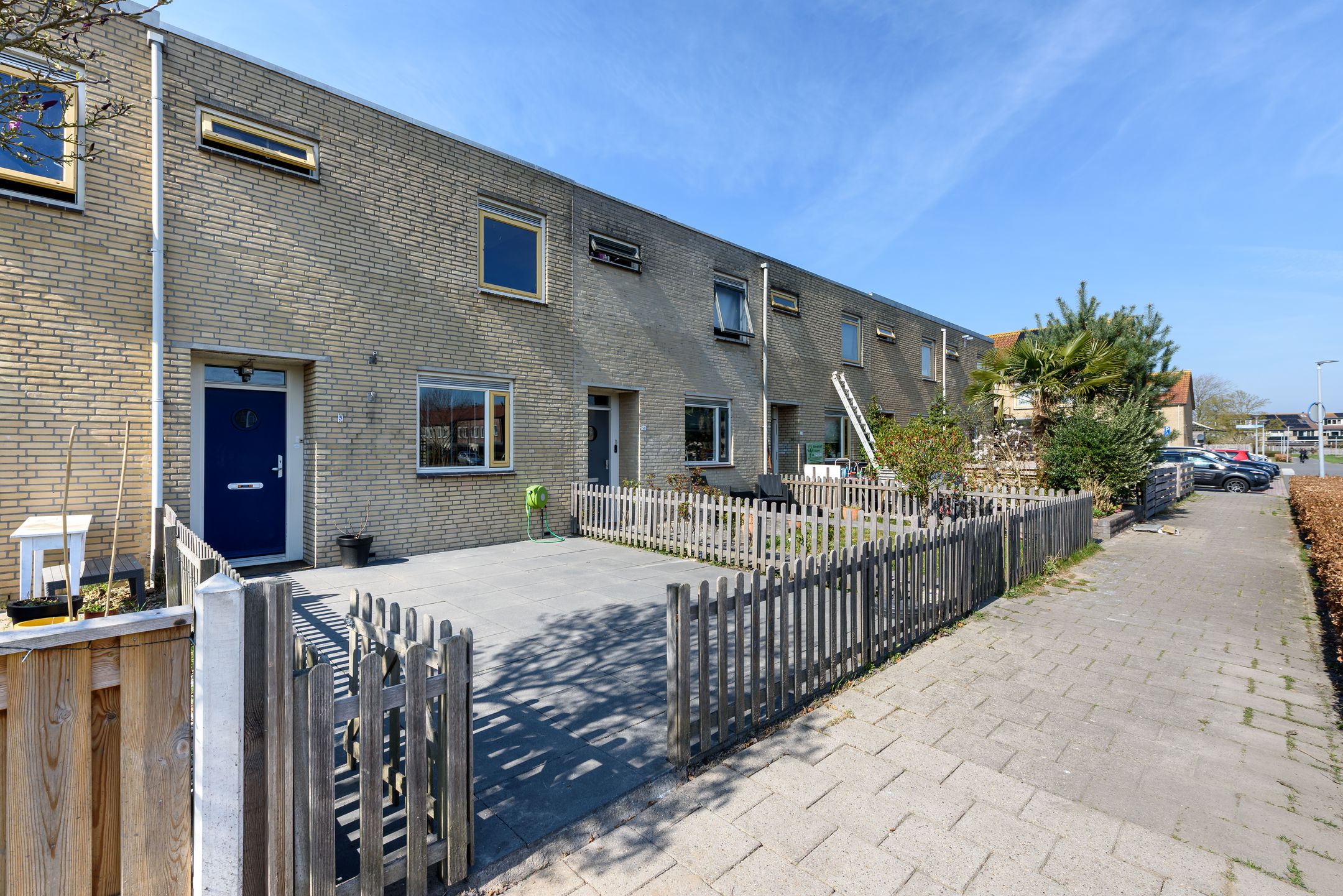 Foto 6 van Sikkelklaverpad 5