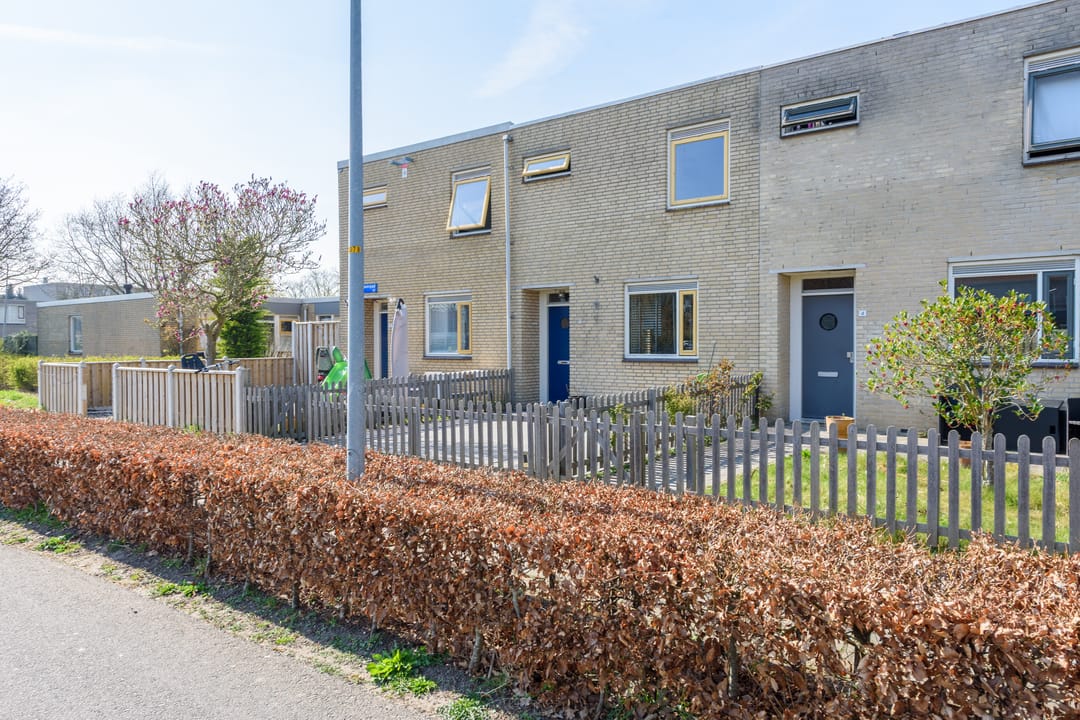 Foto 7 van Sikkelklaverpad 5