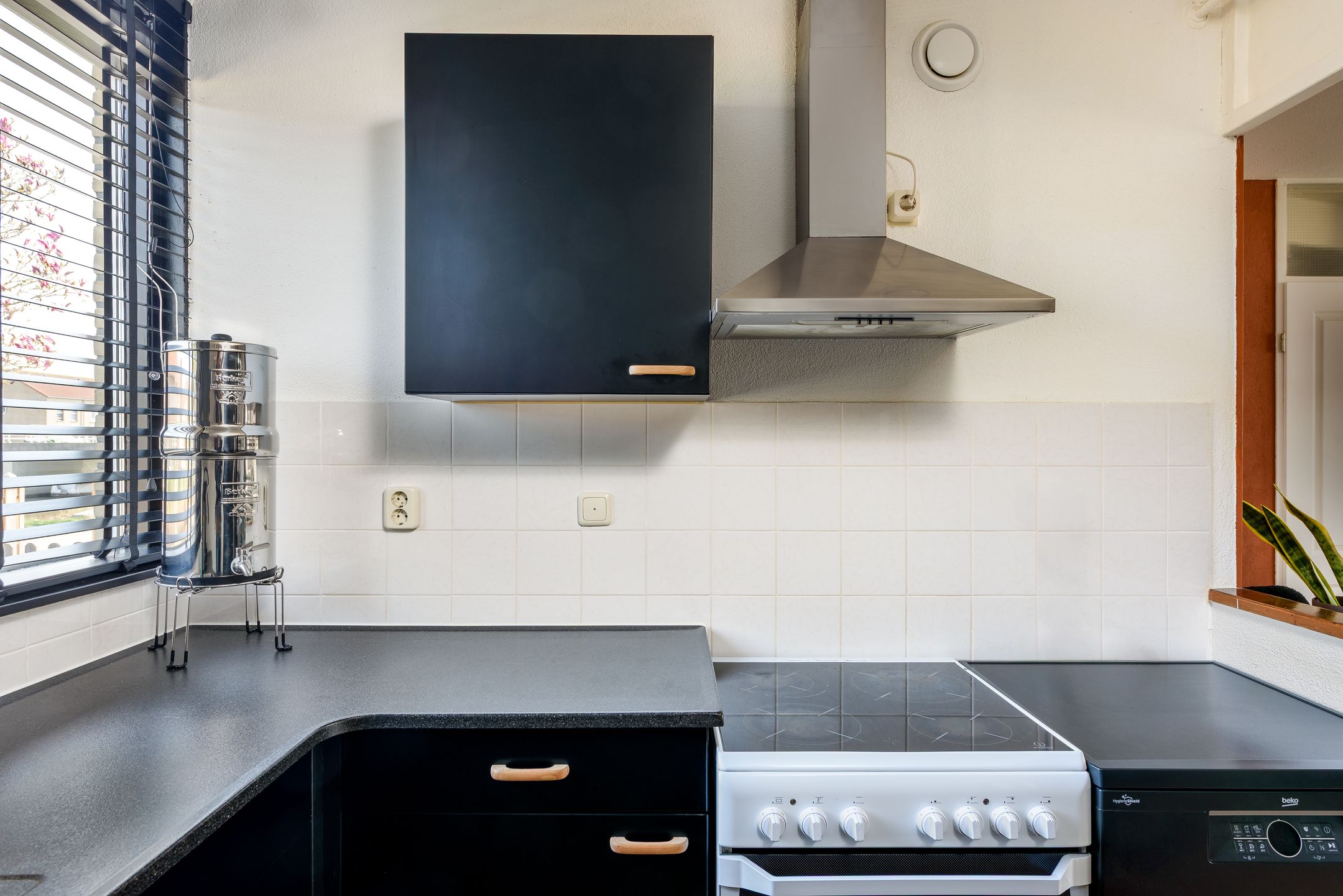 Foto 18 van Sikkelklaverpad 5