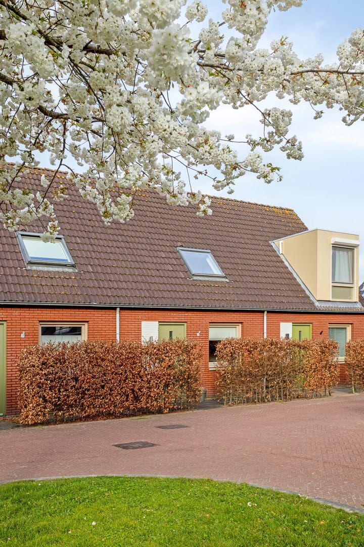 Foto 6 van Mangaan 17