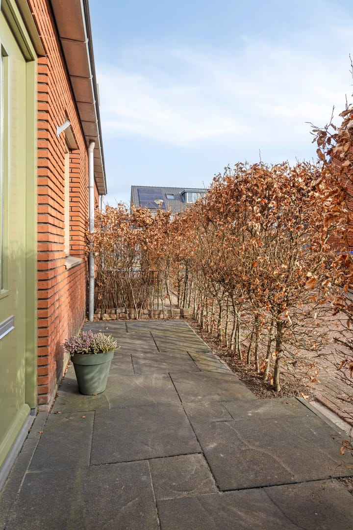 Foto 7 van Mangaan 17