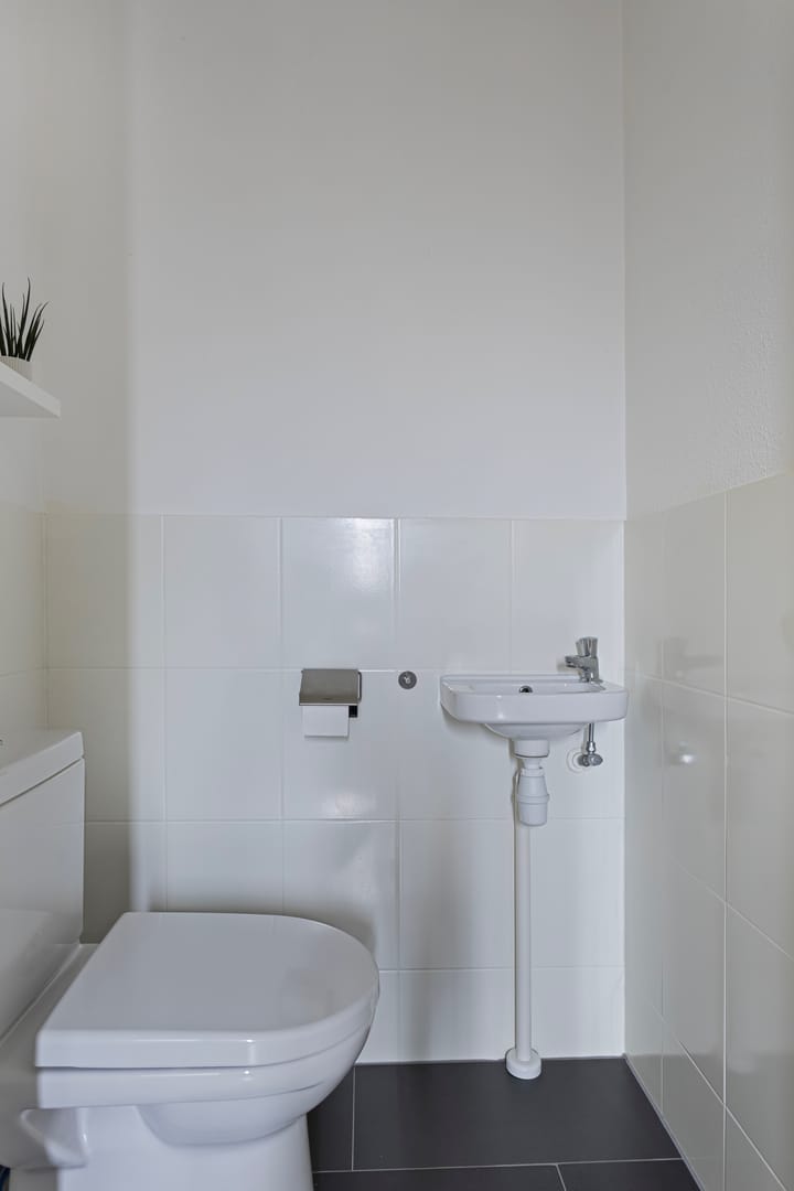 Foto 9 van Mangaan 17