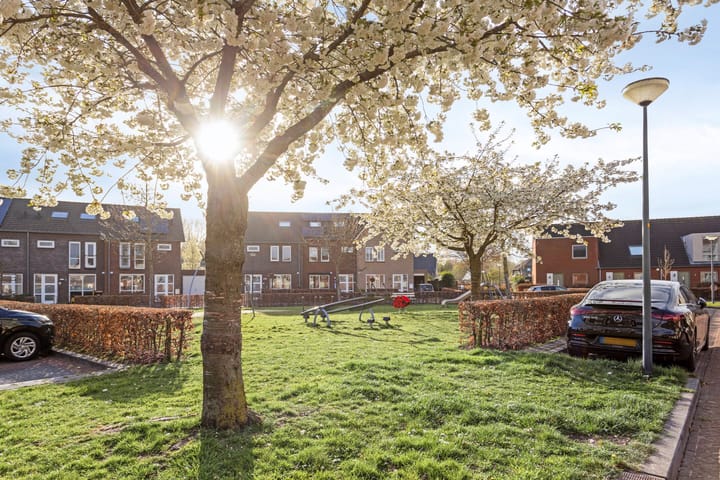 Foto 29 van Mangaan 17