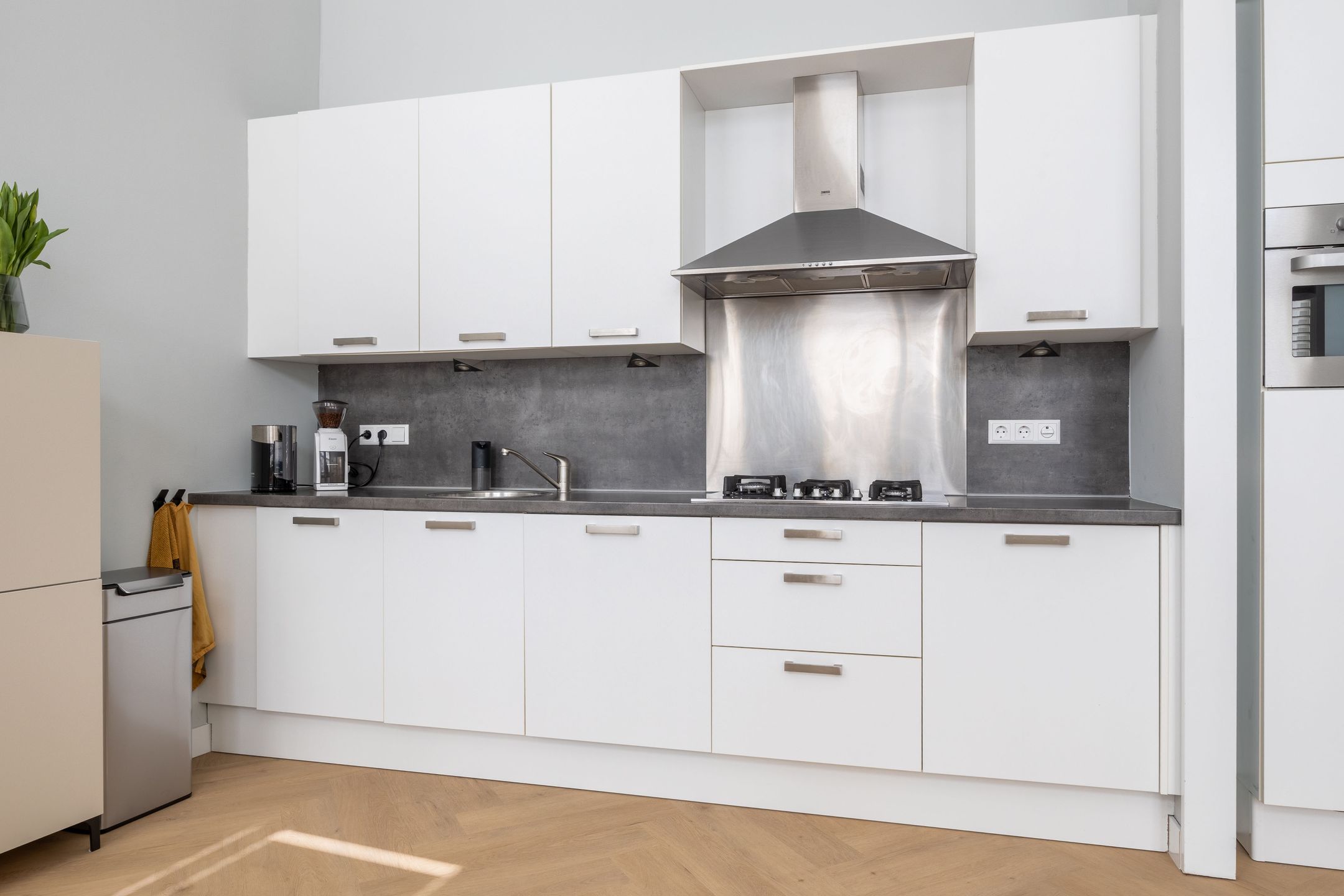 Foto 3 van Haagdijk 142-B4