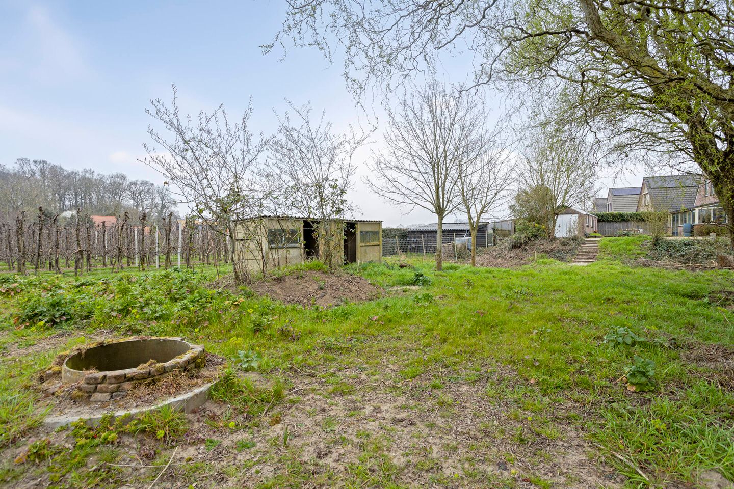 Photo 29 of Waalbandijk 24