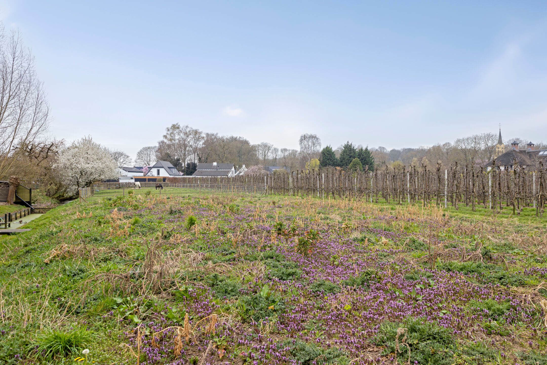 Photo 30 of Waalbandijk 24