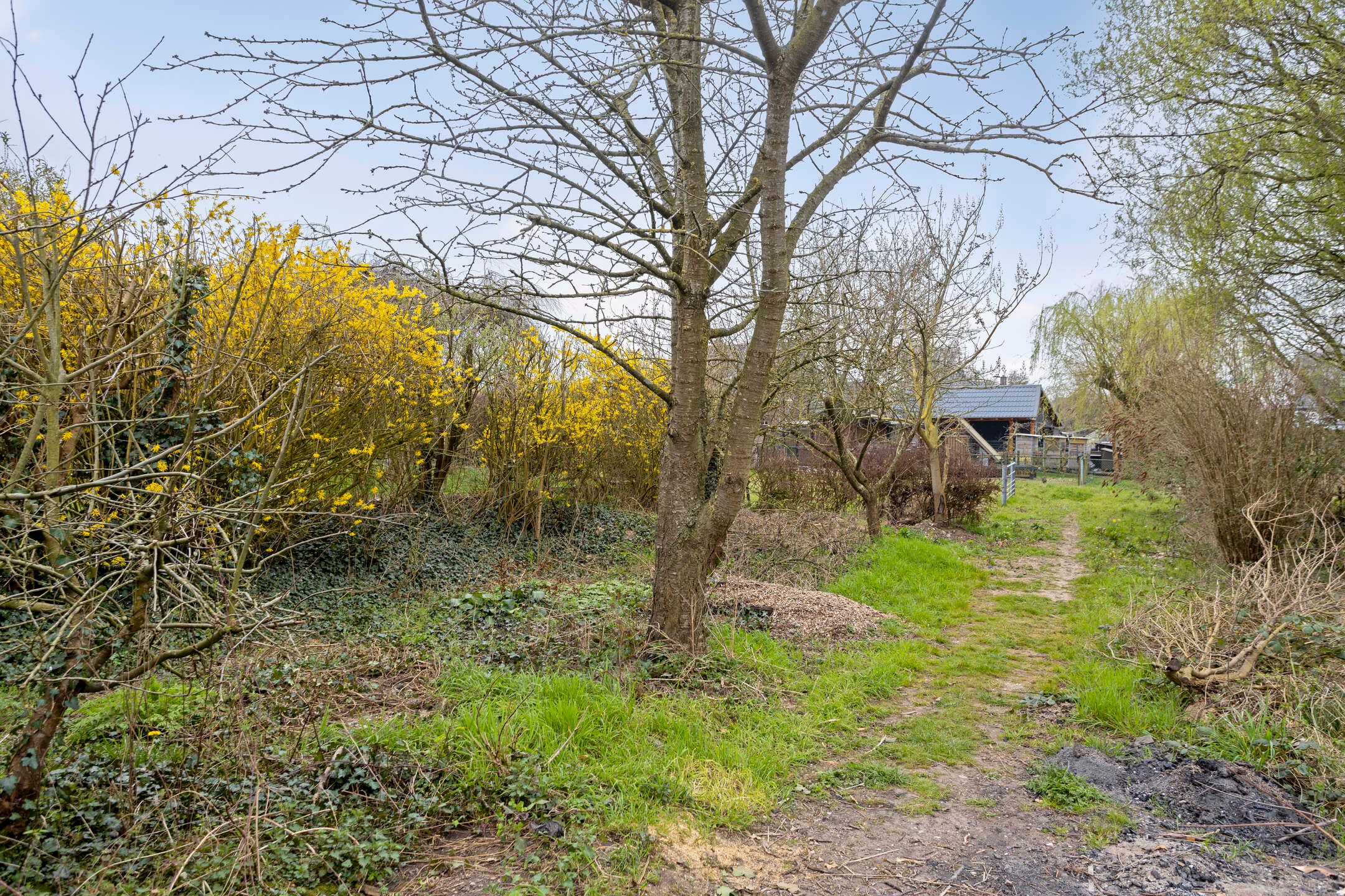 Photo 36 of Waalbandijk 24