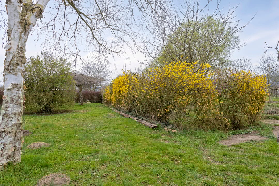 Photo 37 of Waalbandijk 24