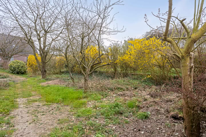 Foto 35 van Waalbandijk 24