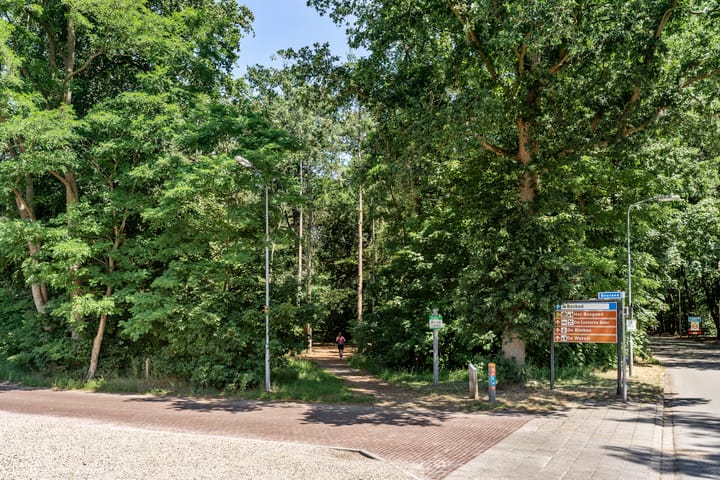 Foto 47 van Kastanjelaan Oost 27