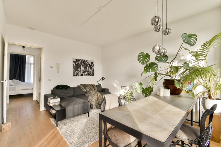 Foto 5 van Van Spilbergenstraat 119-3