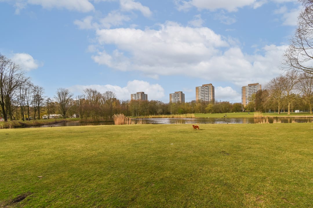 Foto 16 van Van Spilbergenstraat 119-3