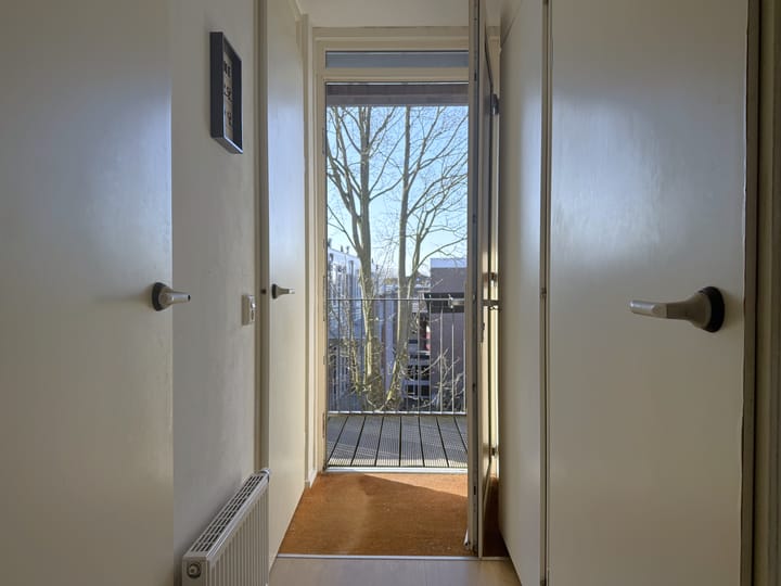 Foto 6 van Zuidvliet 294-G