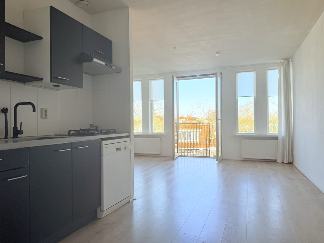 Foto 7 van Zuidvliet 294-G