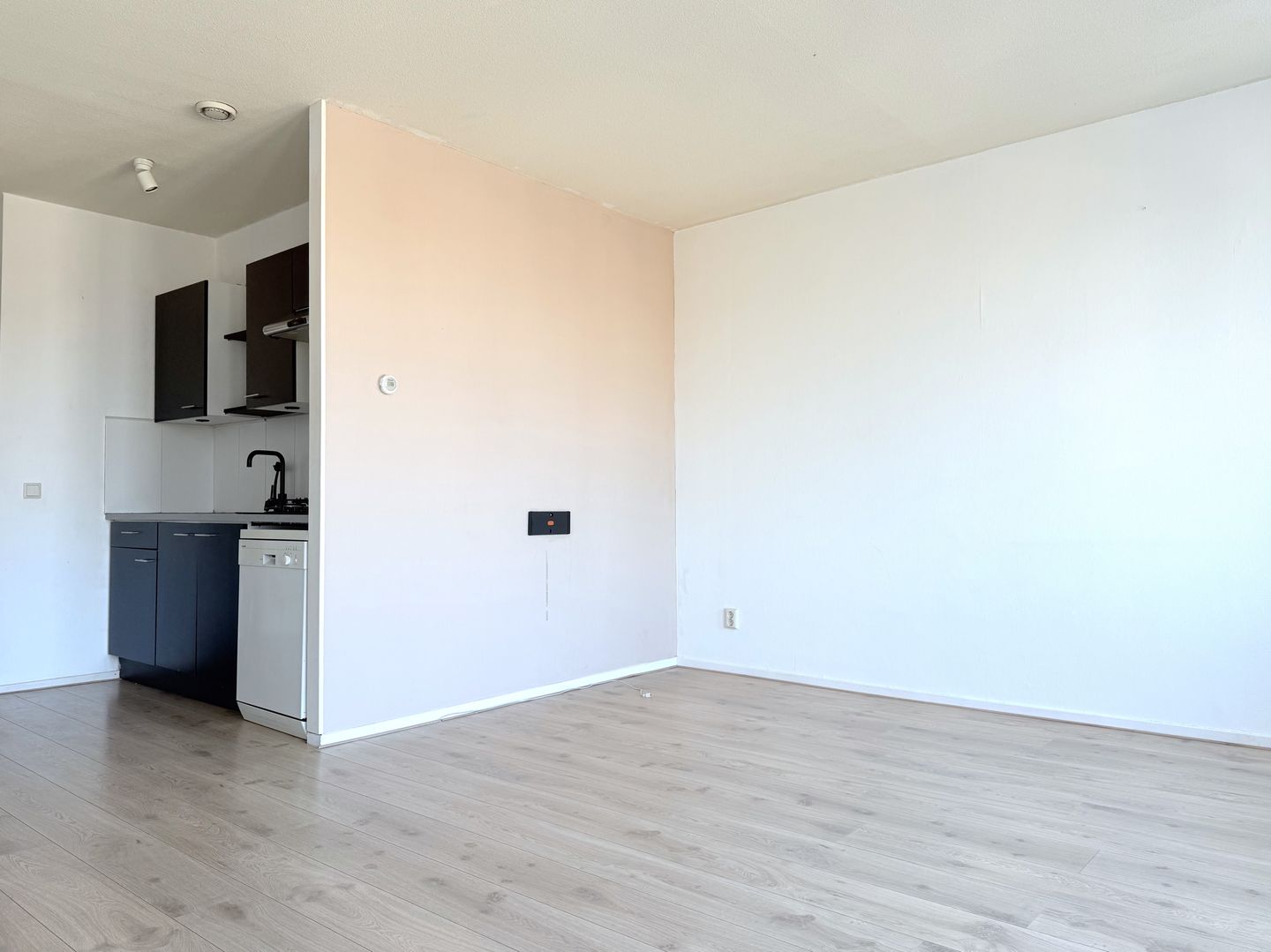 Foto 10 van Zuidvliet 294-G