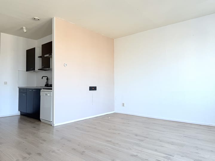 Foto 10 van Zuidvliet 294-G