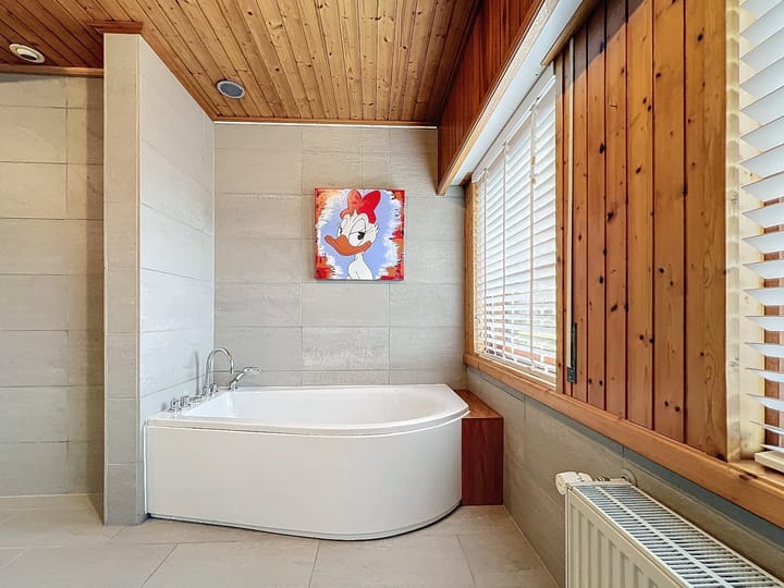 Foto 27 van Romanlaan 18