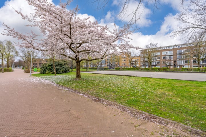 Photo 42 of Egidiusstraat 13-2