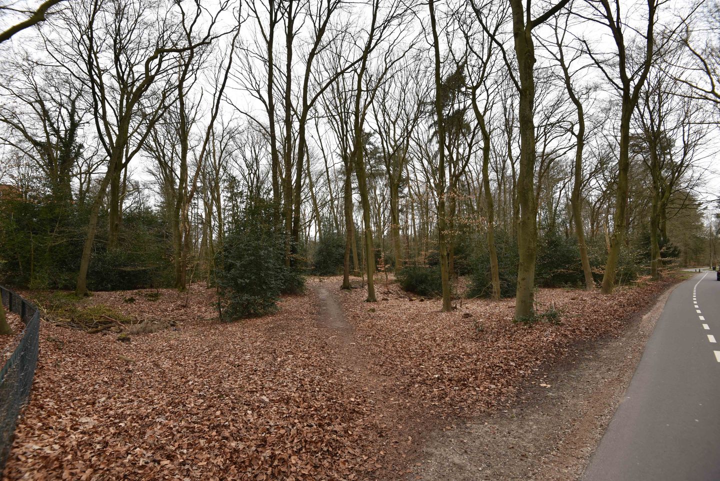 Foto 35 van Burgemeester Weertslaan 8