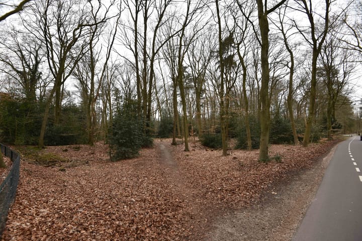 Foto 35 van Burgemeester Weertslaan 8