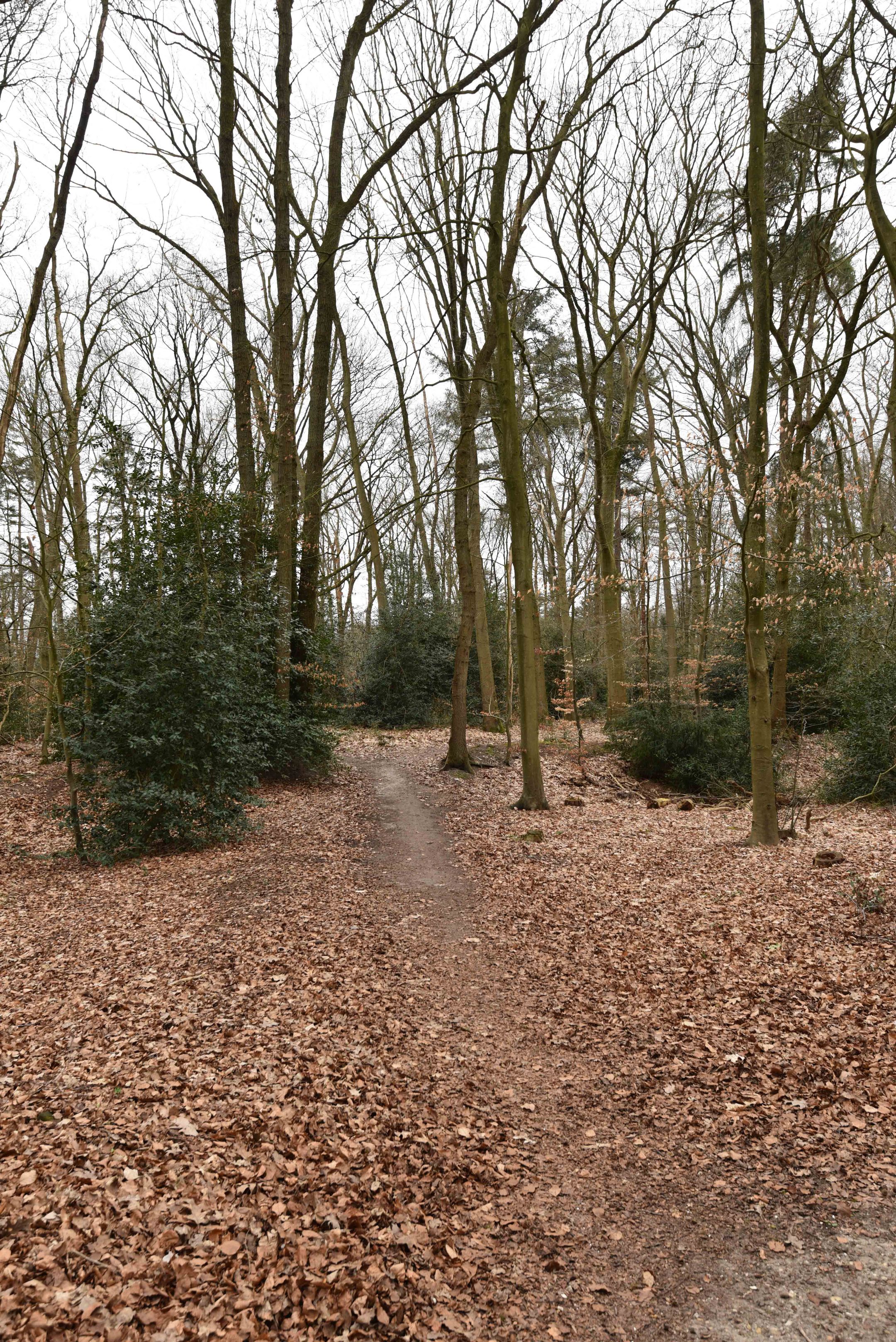 Foto 36 van Burgemeester Weertslaan 8