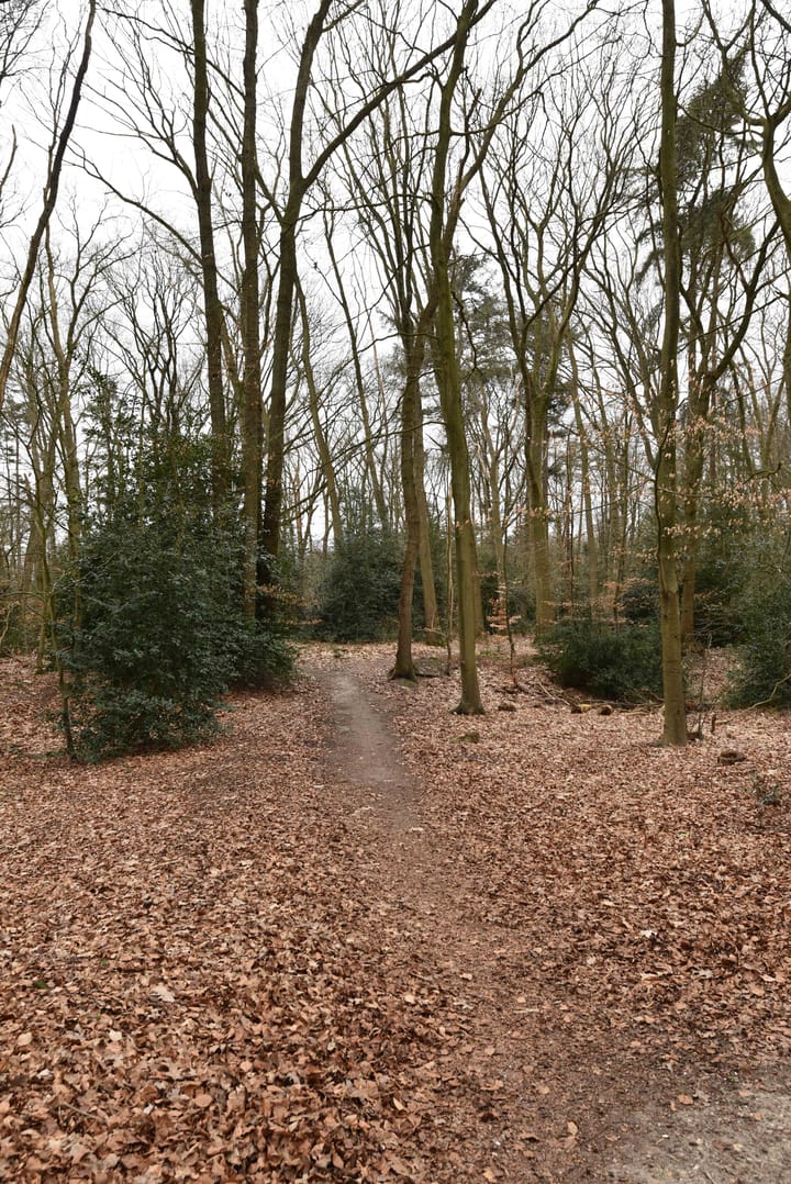 Foto 36 van Burgemeester Weertslaan 8