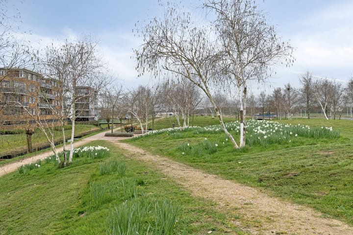 Foto 37 van Catharinapolder 46