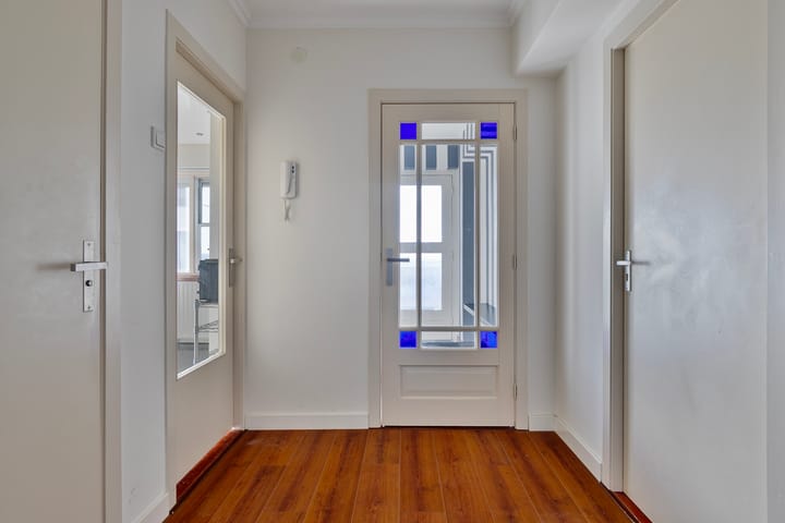 Photo 19 of Louis Raemaekersstraat 141