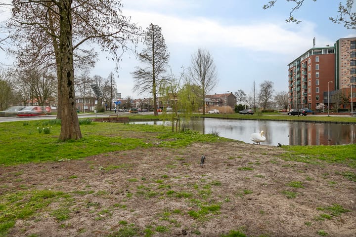 Foto 31 van Reigerstraat 70