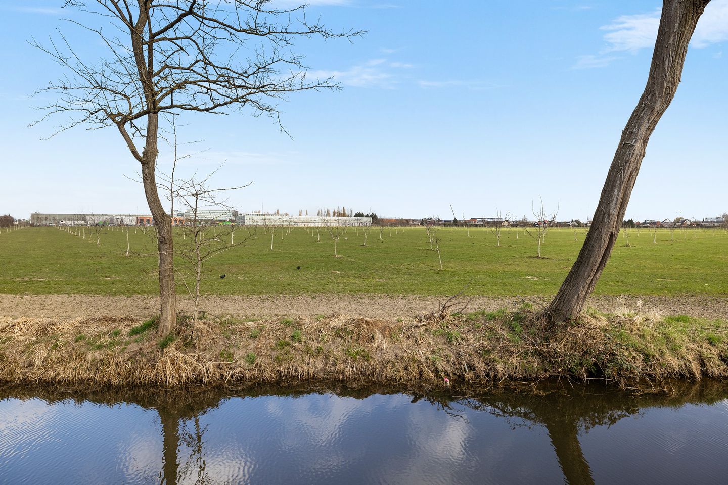 Foto 44 van Gebroken Meeldijk 3