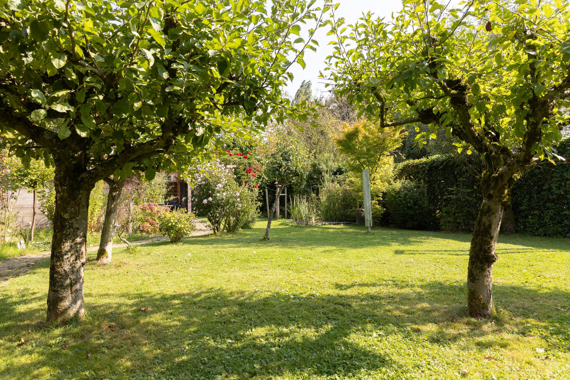 Foto 45 van Gebroken Meeldijk 3