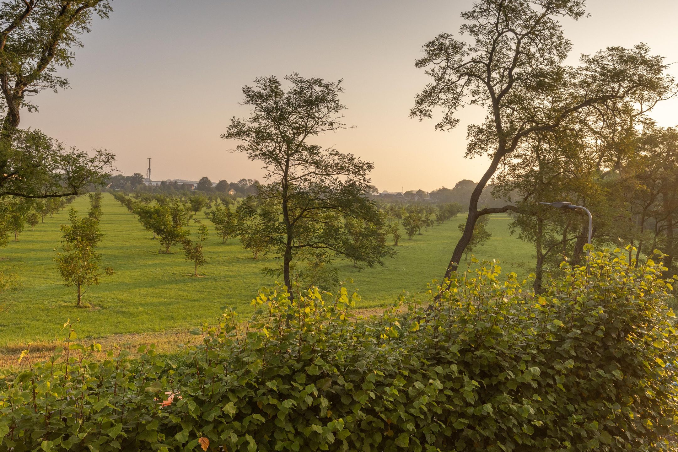 Foto 48 van Gebroken Meeldijk 3