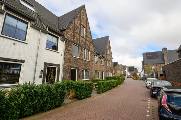 Foto 3 van Geelgorslande 6