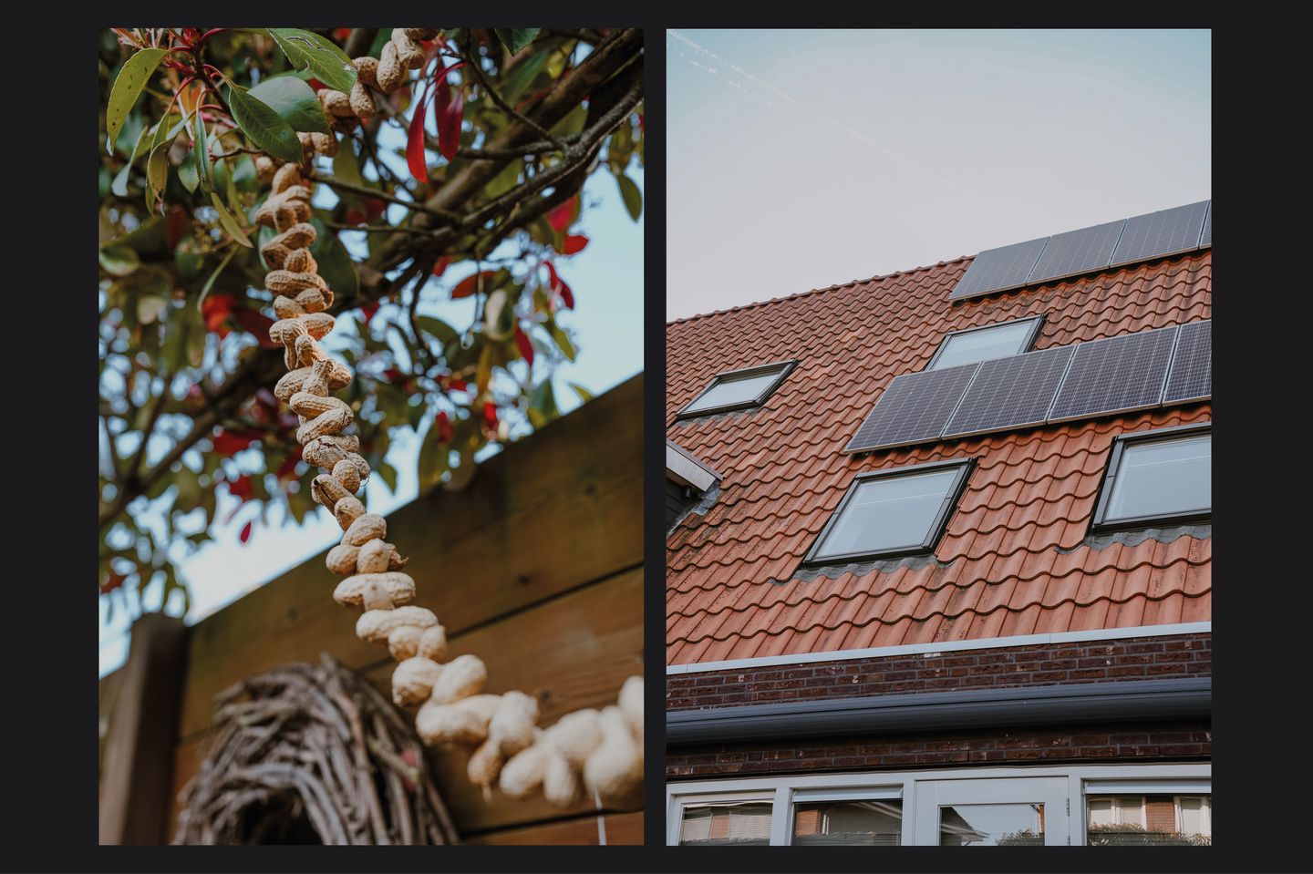 Foto 25 van Dominee J T Doornenbalstraat 14