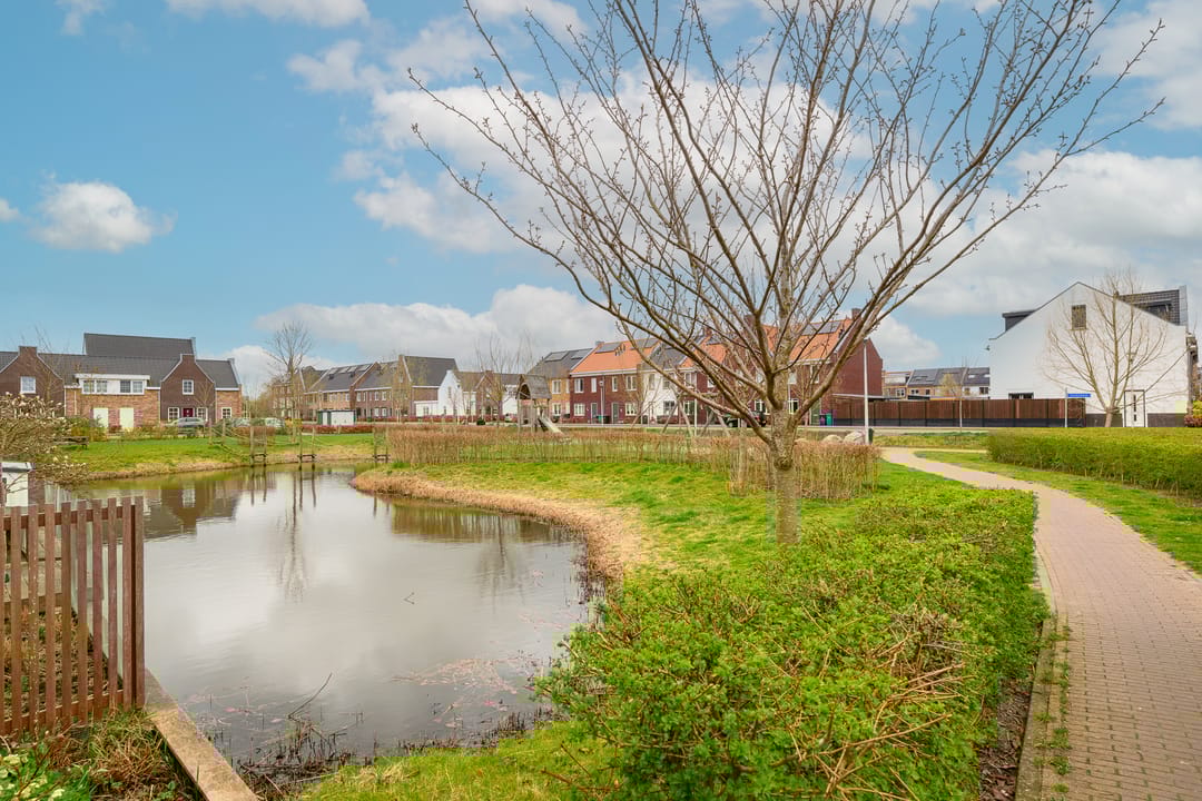 Foto 38 van Geelgorslande 6