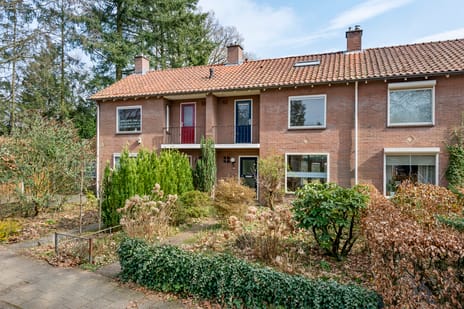 undefined main image