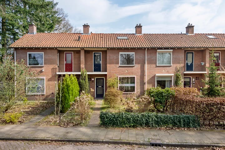 Foto 2 van van Mesdagweg 25