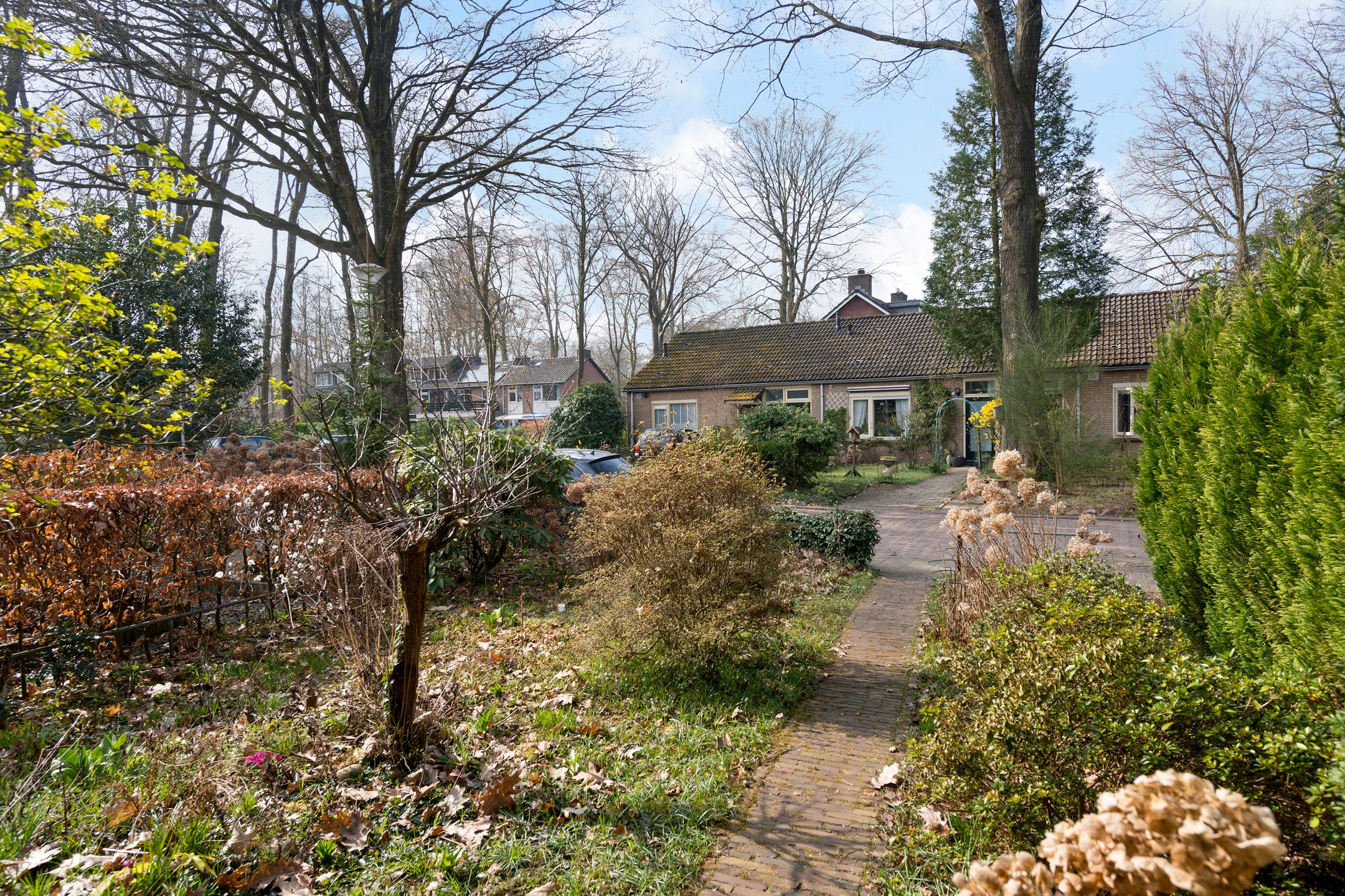 Photo 3 of van Mesdagweg 25