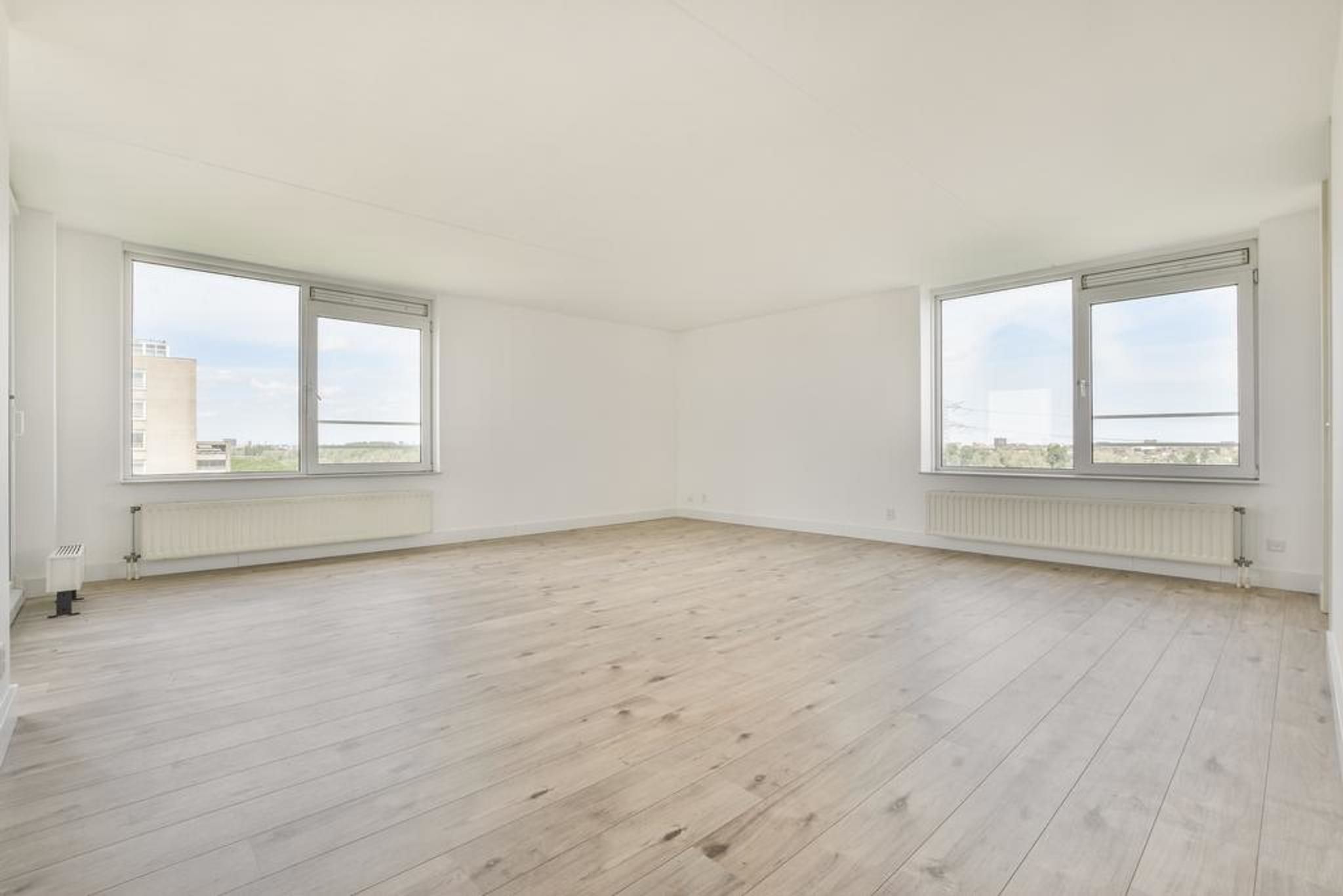 Foto 3 van Hermelijnvlinder 51