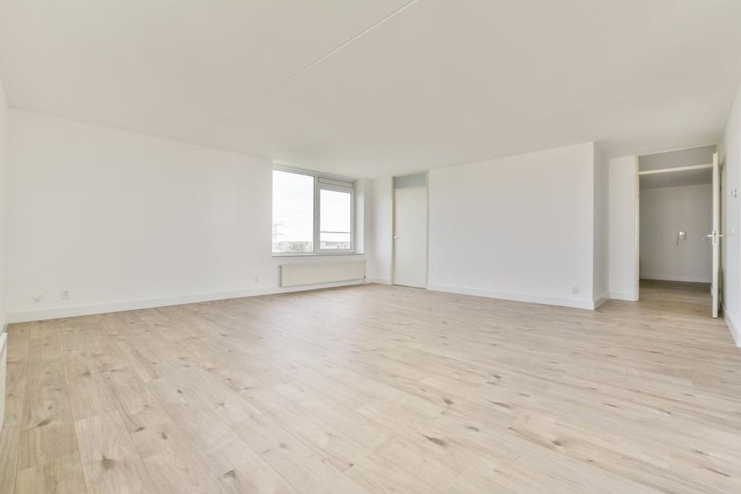 Foto 4 van Hermelijnvlinder 51