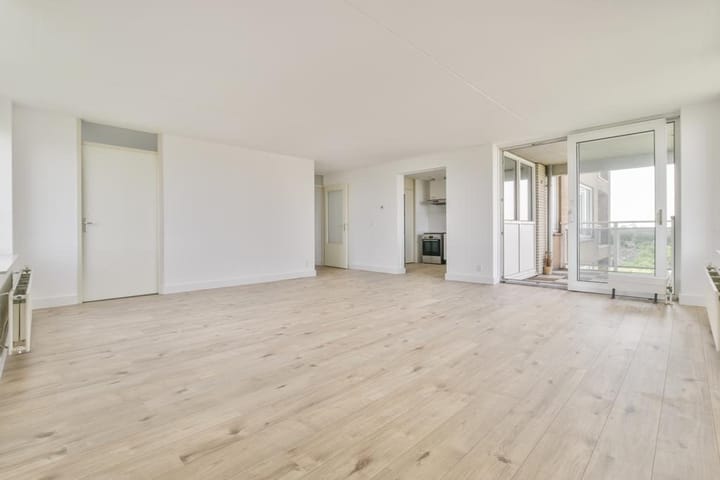 Foto 5 van Hermelijnvlinder 51