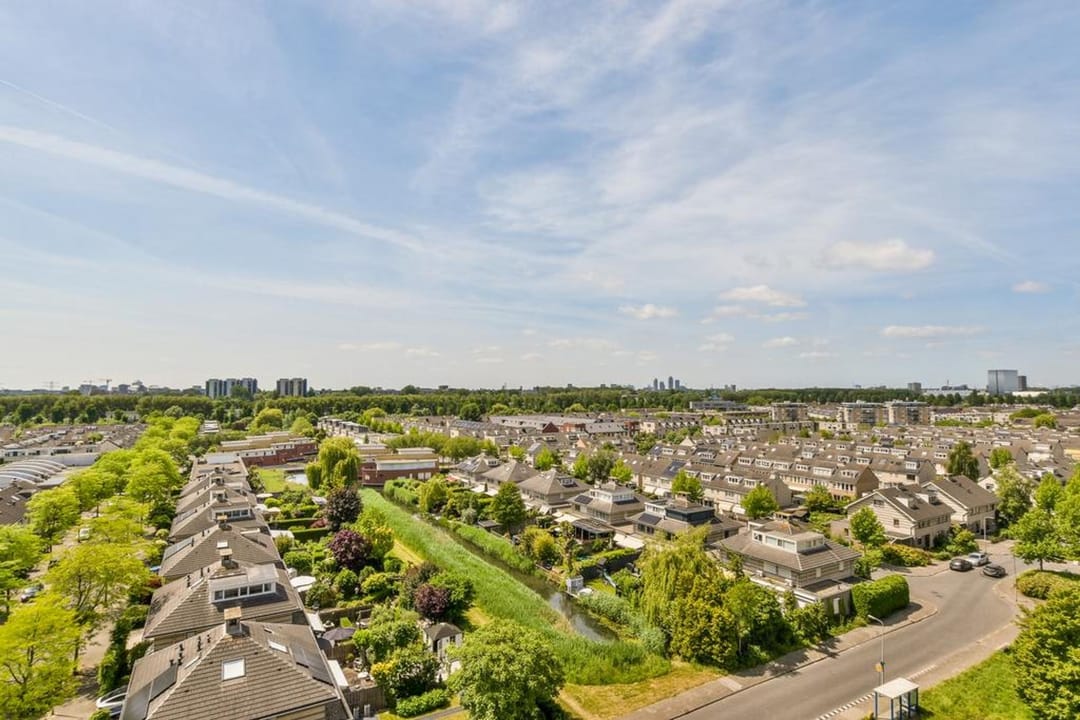 Foto 8 van Hermelijnvlinder 51