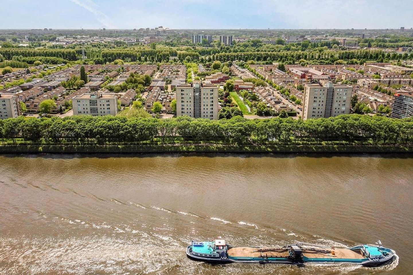 Foto 20 van Hermelijnvlinder 51