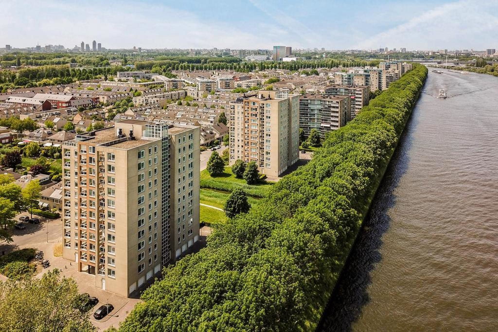 Foto 21 van Hermelijnvlinder 51