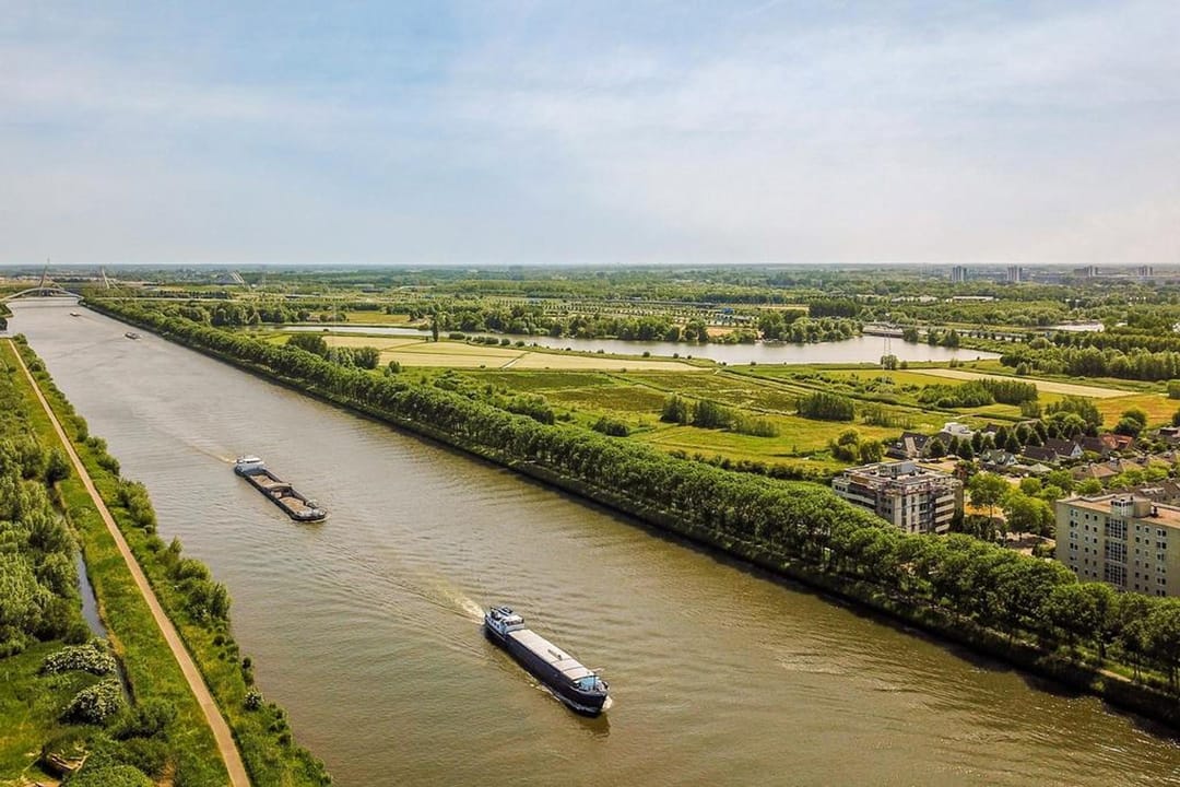 Foto 22 van Hermelijnvlinder 51