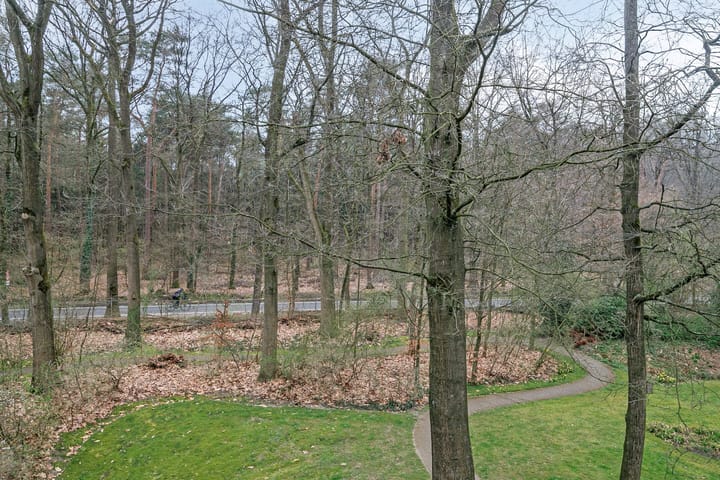 Foto 24 van Rhenendael 52